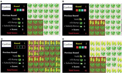 Experimental Evidence on the Impact of Payments and Property Rights on Forest User Decisions